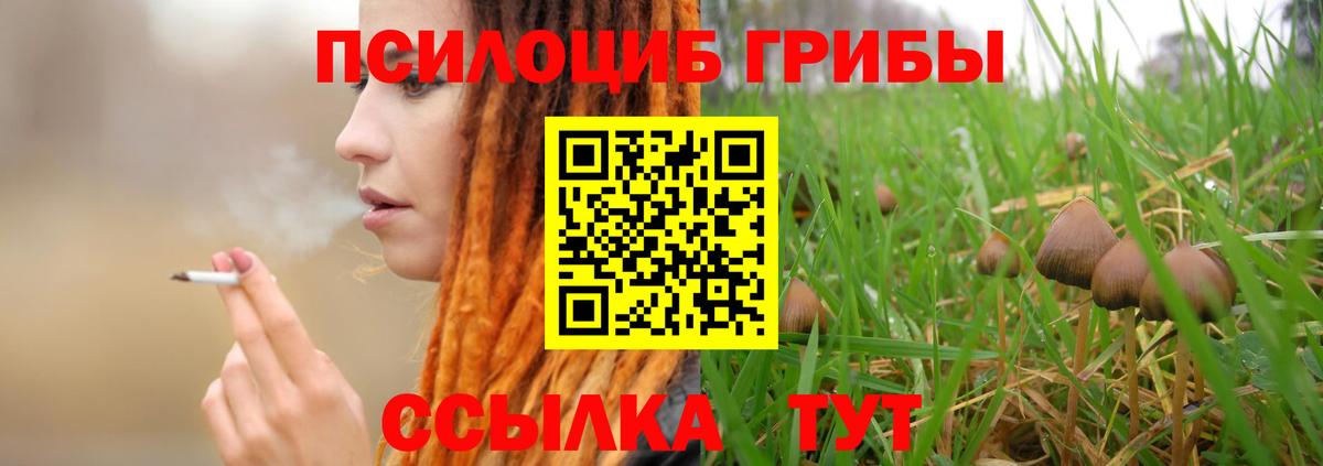Псилоцибиновые грибы Psilocybine cubensis  Вход с VPN  Псилоцибиновые грибы GOLDEN TEACHER  Соль-Илецк 